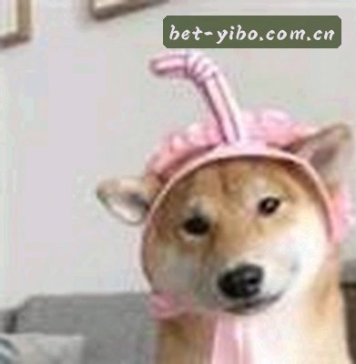 张猛